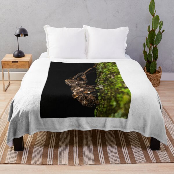 Item preview, Weevil hanging out! designed and sold by TimCBlackburn.