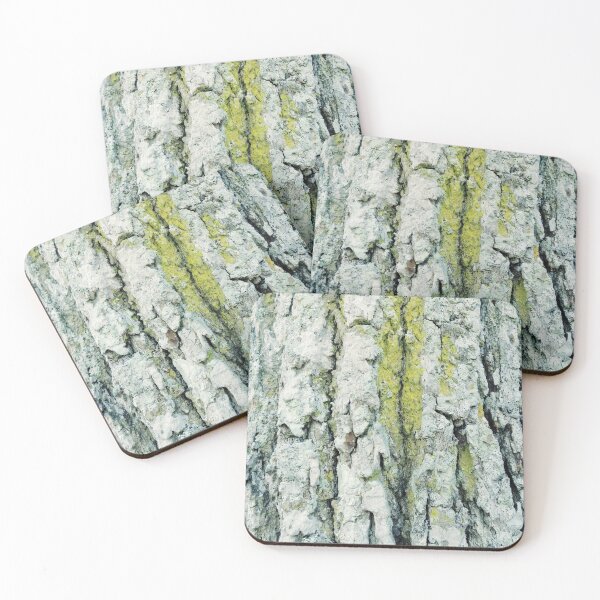 Item preview, Weathered white bark with green moss designed and sold by Jennykies.