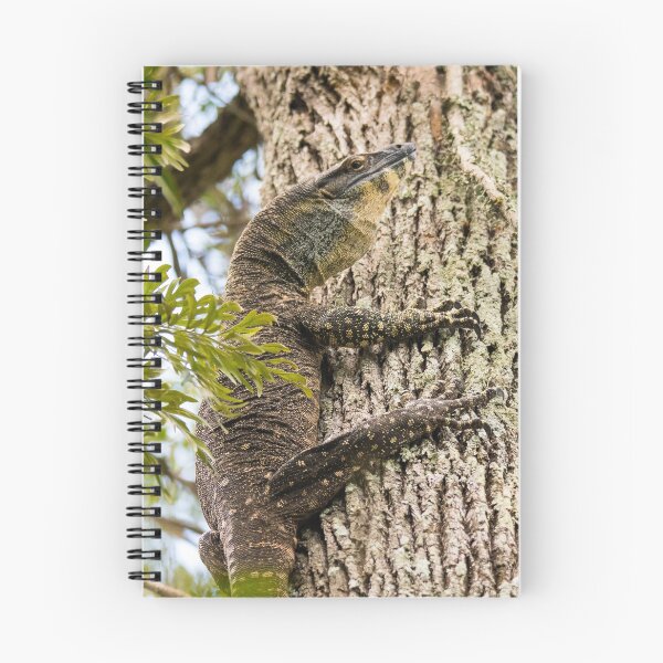 Item preview, Lace Monitor  designed and sold by TimCBlackburn.
