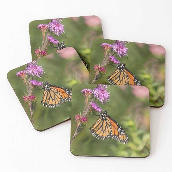 Item preview, Fall Monarch 2016-12 designed and sold by Thomasyoung.