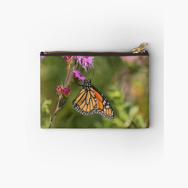 Item preview, Fall Monarch 2016-12 designed and sold by Thomasyoung.