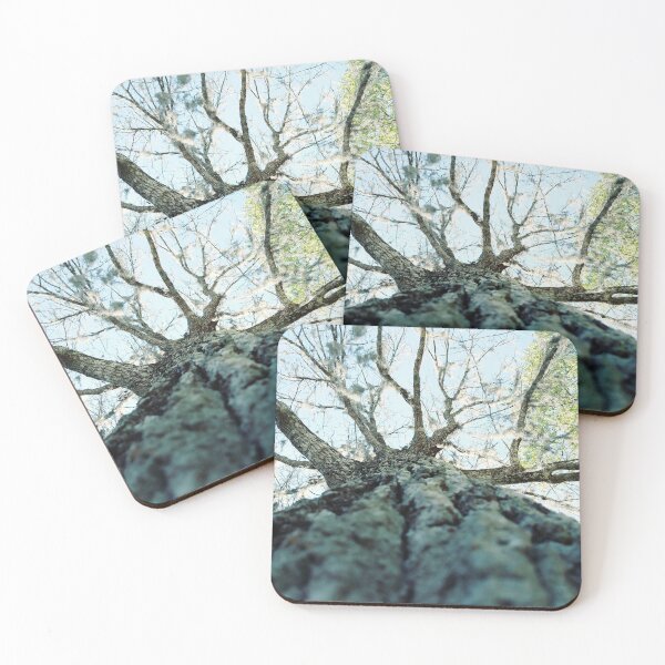 Item preview, Winter transition to spring tree  designed and sold by Jennykies.