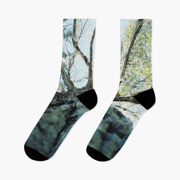 Item preview, Winter transition to spring tree  designed and sold by Jennykies.