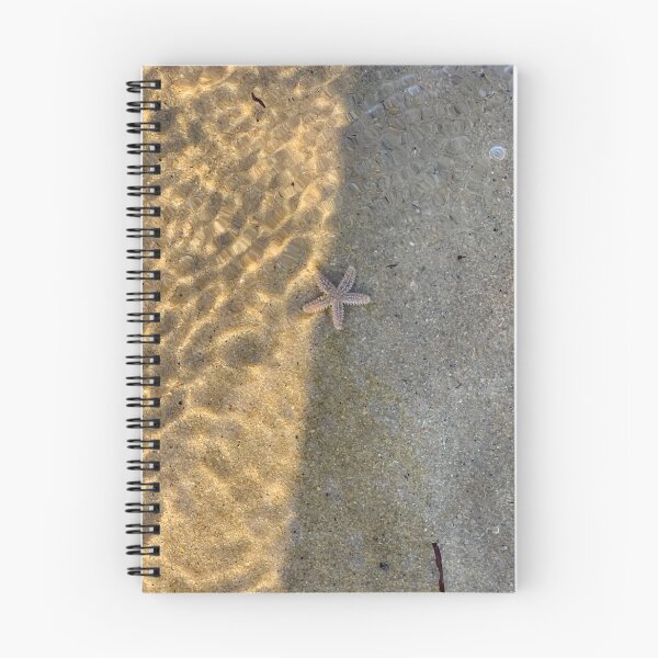 Item preview, Fotografía de estrella de mar designed and sold by Phyllis   Small.