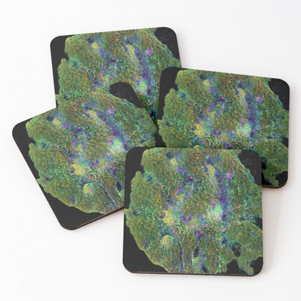Item preview, Biology designed and sold by dirtywaters.