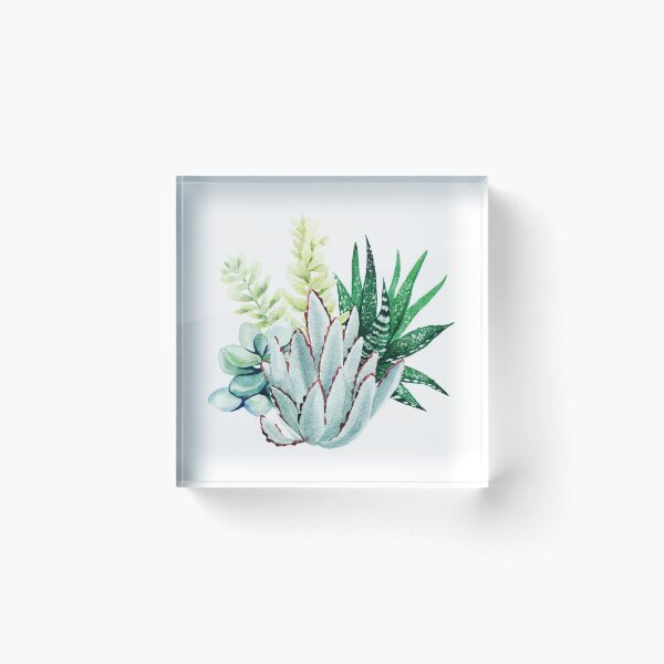 Item preview, Succulents designed and sold by ThrowPillows.