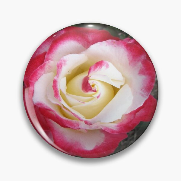 Item preview, Double delight rose designed and sold by NJH110.