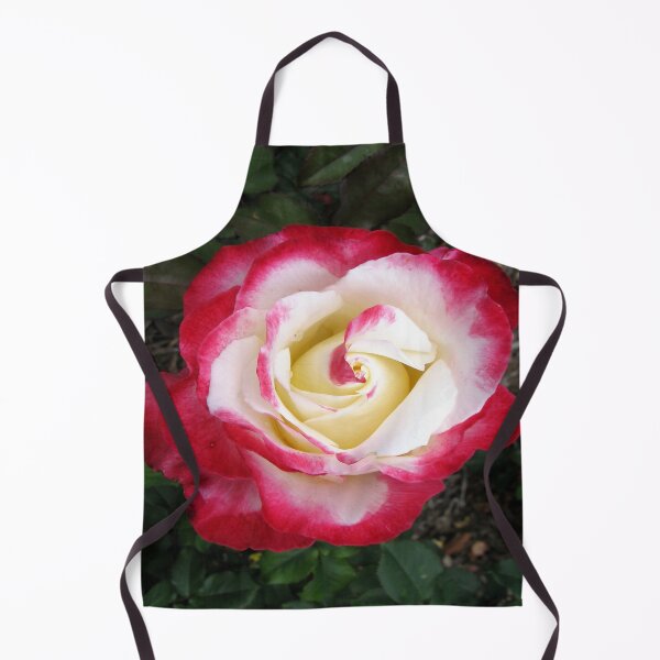 Item preview, Double delight rose designed and sold by NJH110.