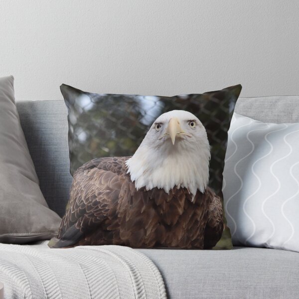 Item preview, The Intense Stare of a Bald Eagle designed and sold by KMDavidPhoto.