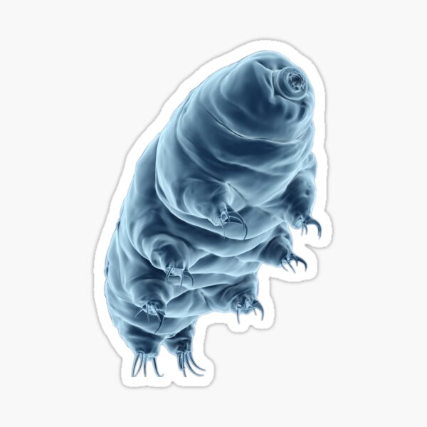 Item preview, maximum tardigrade designed and sold by jstonerrrrrrrr.