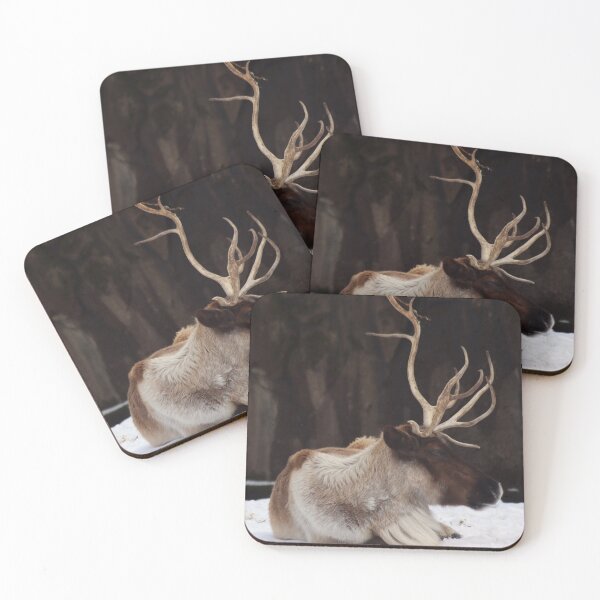 Item preview, Reindeer Repose designed and sold by KMDavidPhoto.