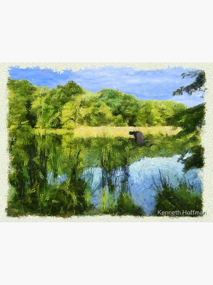 "Blue Heron Pond" Poster for Sale by webster84 Redbubble
