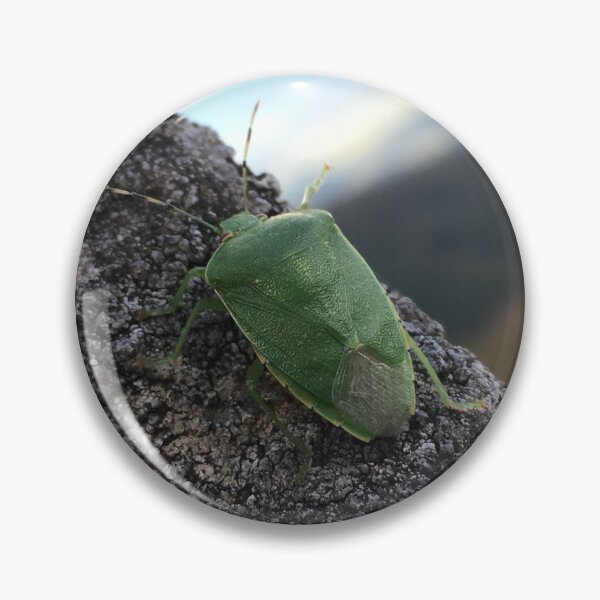 Item preview, Stink Bug  designed and sold by Rachel-is-Wise.