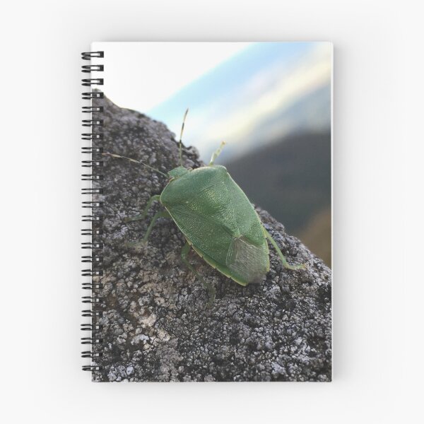 Item preview, Stink Bug  designed and sold by Rachel-is-Wise.