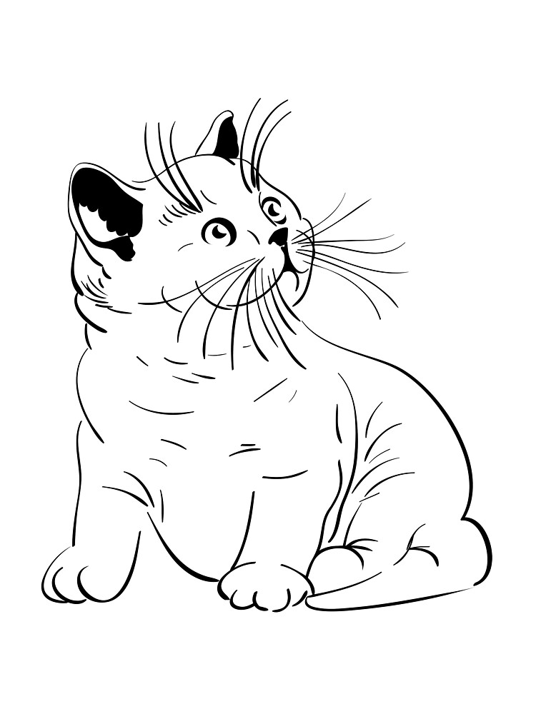 How to draw a cat: easy step-by-step guide - Gathered