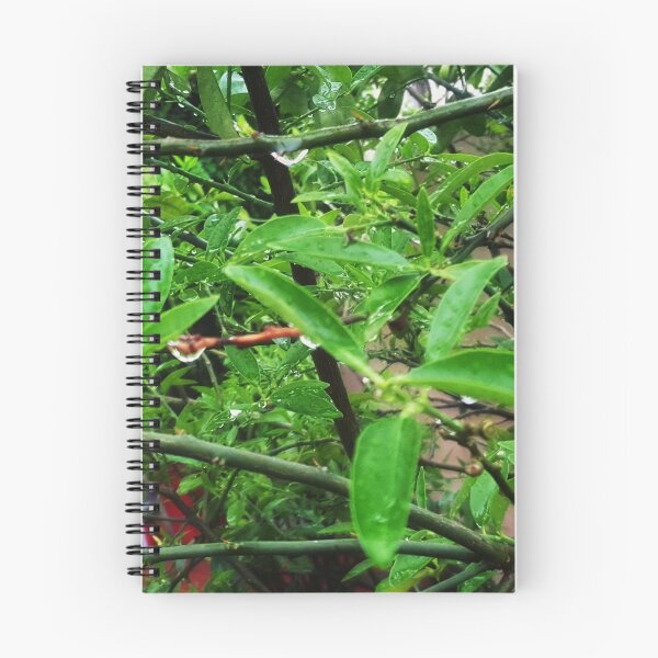 Item preview, Dew drops on leaves designed and sold by FurwaAbid.