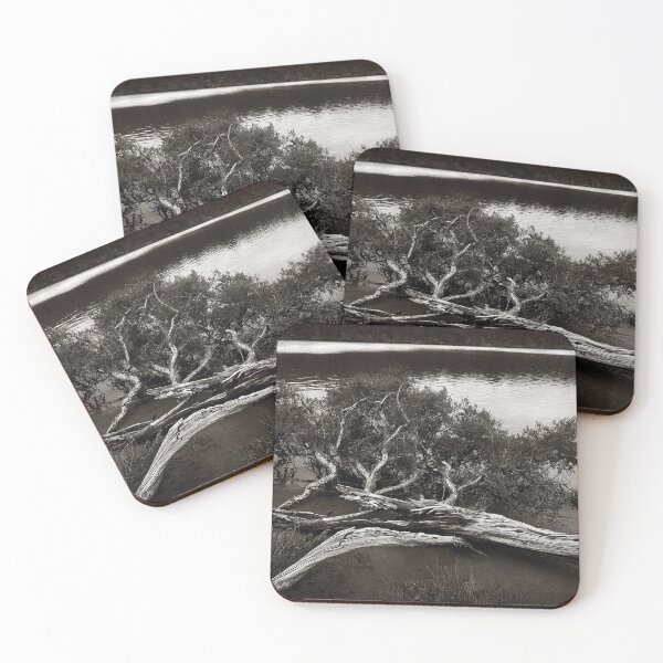 Item preview, Fallen Paper Bark designed and sold by Malcolm Heberle.
