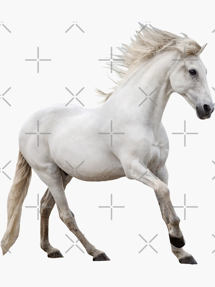 bg,f8f8f8-flat,750x,075,f-pad,