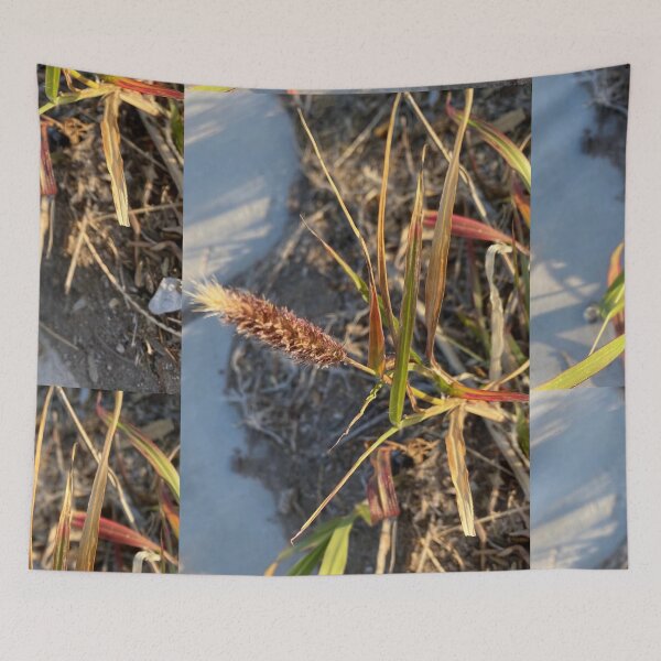 Item preview, Plants Along The Trail designed and sold by pinkyjainpan.