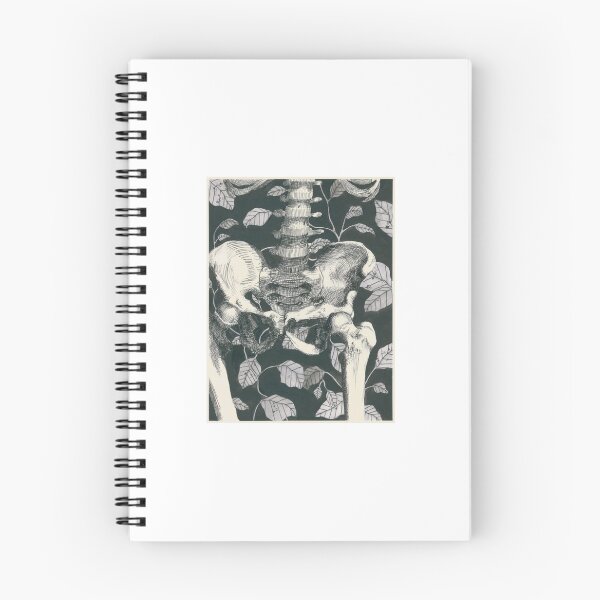 Item preview, Pelvis with leaves designed and sold by Claire Haviland.