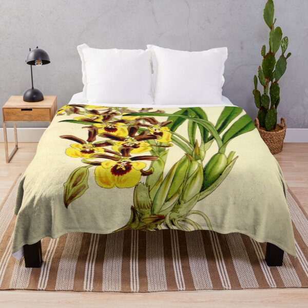 Item preview, Oncidium longipes Curtis' 86 5193 (1860) designed and sold by EsotericBotanic.