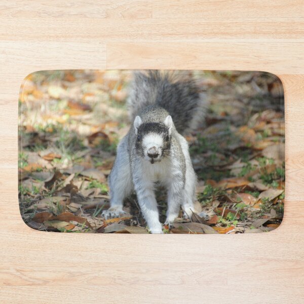Item preview, What Does the Fox Squirrel Say? designed and sold by Autumn Seas Photography.