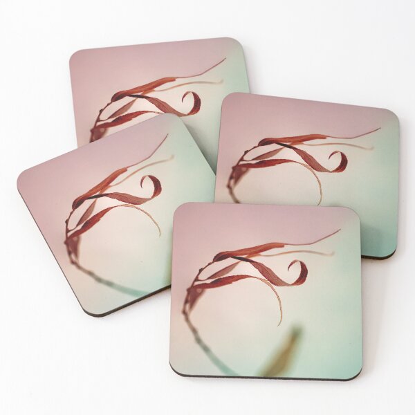 Item preview, Winter plant designed and sold by Efineart.