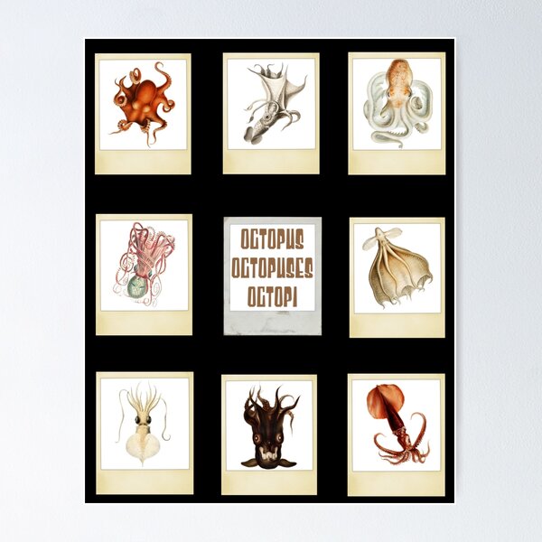Item preview, Octopus Sticker Pack - Octopuses, Octopi designed and sold by TheKingdomAttic.