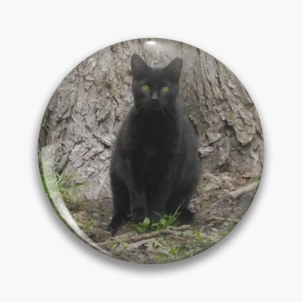 Artikelvorschau, Schwarze Katze sitzt vor Baum entworfen und verkauft von priesterjen.