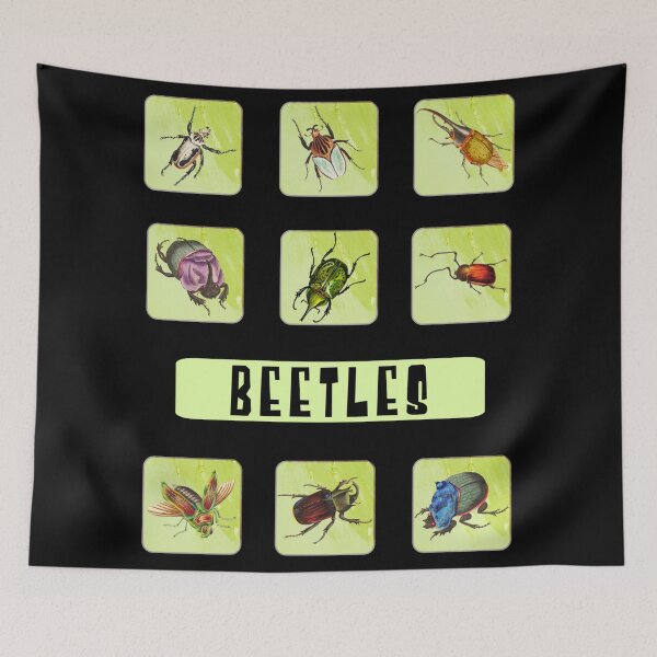 Item preview, Beetles Sticker Pack - Creepy Crawly Bugs! designed and sold by TheKingdomAttic.