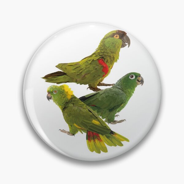 Item preview, Parrots designed and sold by obscurite.