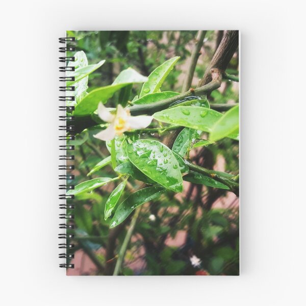 Item preview, Nature Inspired beautiful photo designed and sold by FurwaAbid.