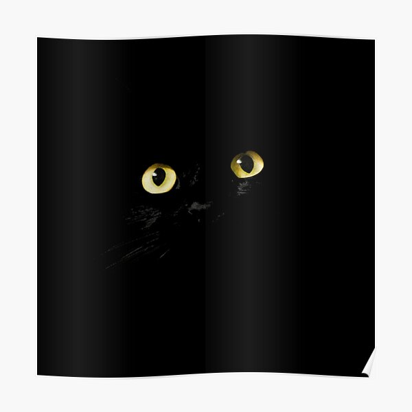 cute-cat-eyes-in-night-poster-for-sale-by-aruvanita-redbubble