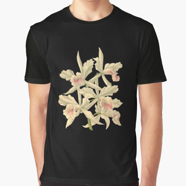 Aperçu de l'œuvre Illustration botanique d'orchidée créée et vendue par MyFreshPrints.