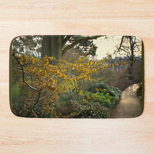 Item preview, Witch Hazel in Sheffield Botanical Gardens  designed and sold by Alisonchambers2.