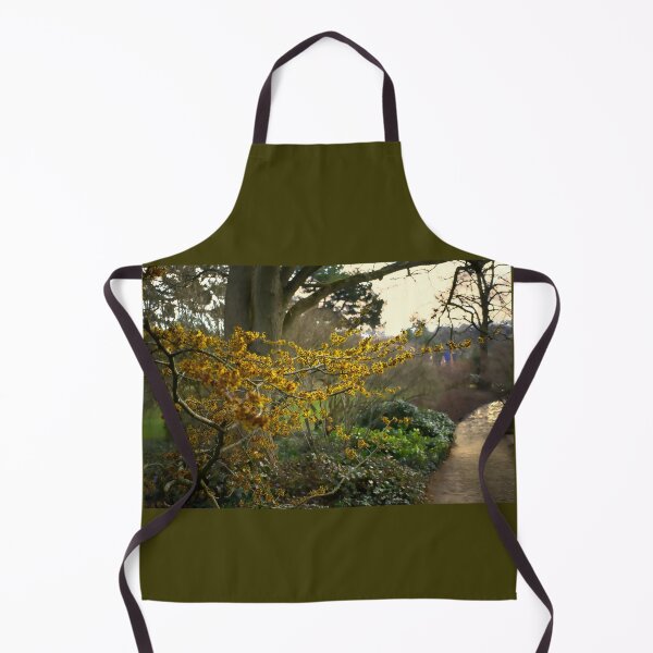 Item preview, Witch Hazel in Sheffield Botanical Gardens designed and sold by Alisonchambers2.