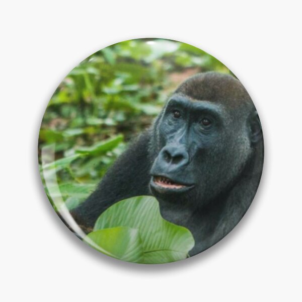 Artikelvorschau, Gorilla - Nationaler Parc-KAHUZI-BIEGA-Sud-Kivu entworfen und verkauft von KivuTreasures.