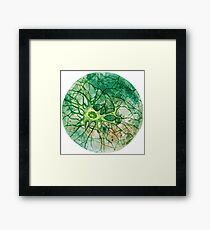 Neuron - Watercoulor - New Colour!! Framed Print