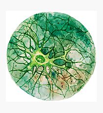 Lámina fotográfica Neuron - Watercoulor - ¡Nuevo color!