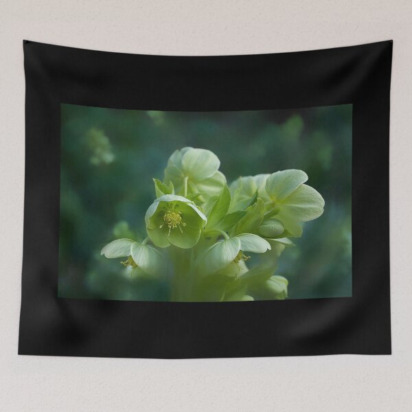 Item preview, Green Hellebores  designed and sold by Alisonchambers2.
