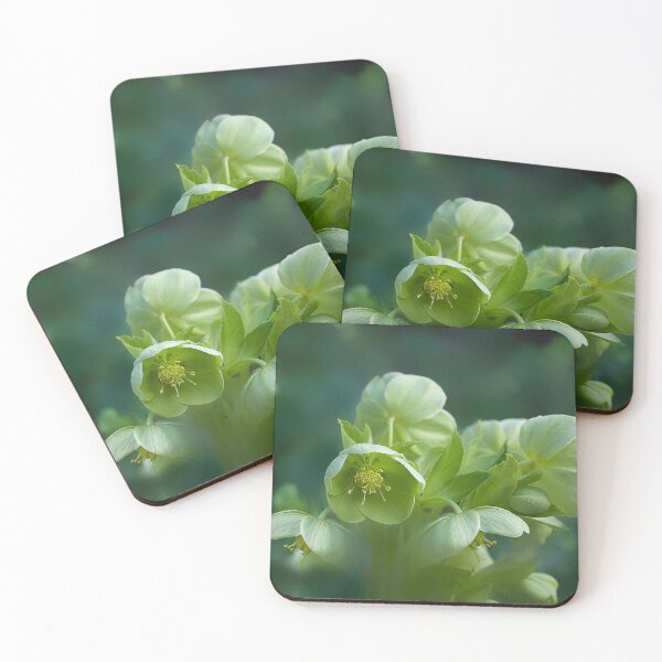 Item preview, Green Hellebores  designed and sold by Alisonchambers2.