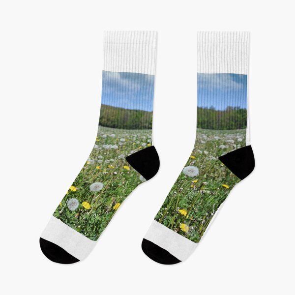 Item preview, dandelion meadow in springtime landscape designed and sold by goceris.