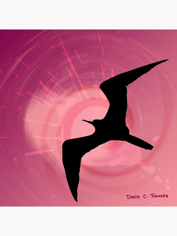 The Frigatebird 2011 by randomarthouse