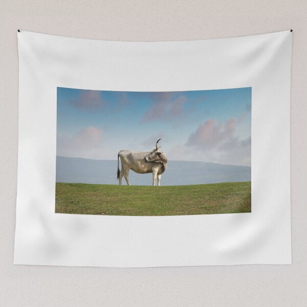 Item preview, Podolian cow with big horns on the pasture designed and sold by goceris.