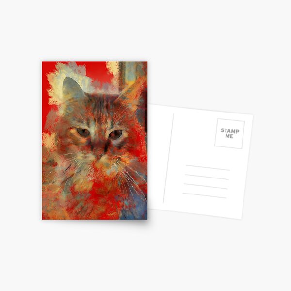 cat Postcard