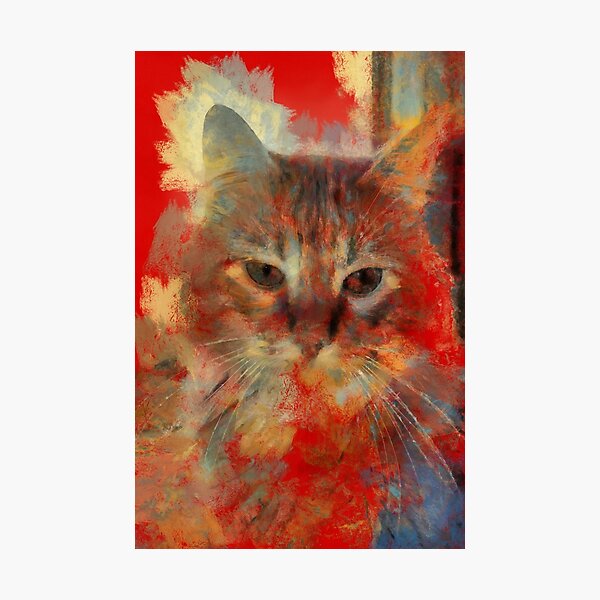 cat Photographic Print