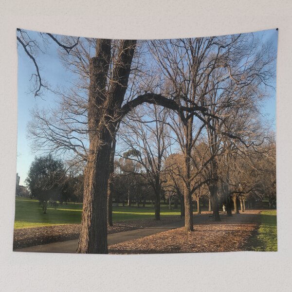 Item preview, Photo of trees in Fawnker Park, Melbourne designed and sold by MelbourneGarden.