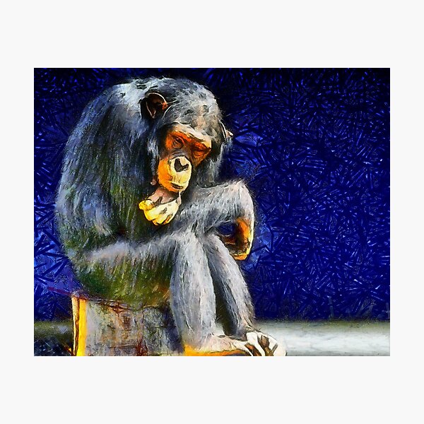 monkey Photographic Print