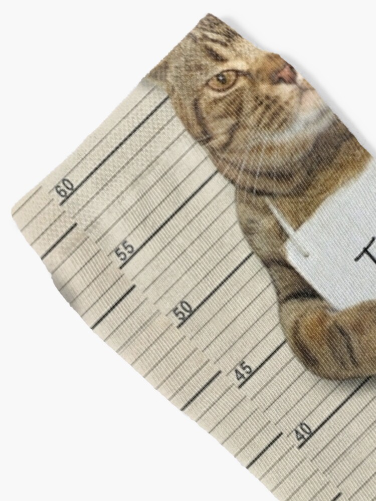 Calcetines «Camisetas de gatos y otros artículos y ropa para gatos de los gatos Criminal - I Did It» de beads1234 | Redbubble
