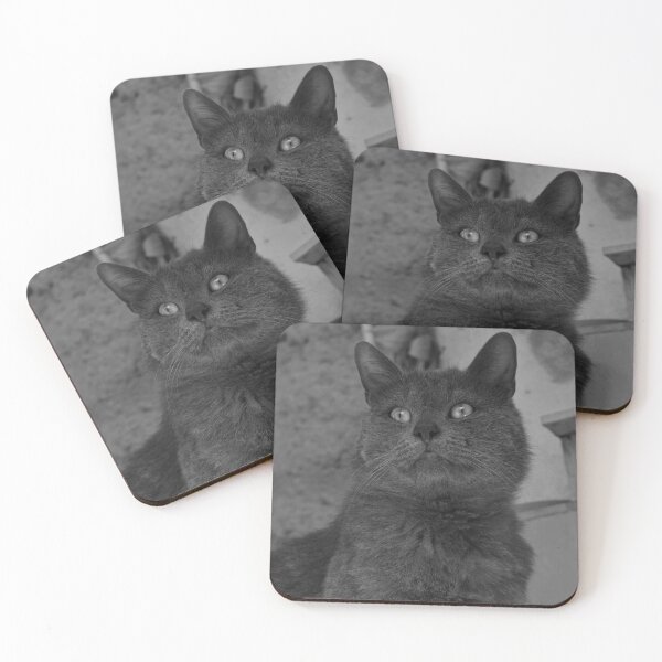 Item preview, cool grey cat  designed and sold by DBilbao.